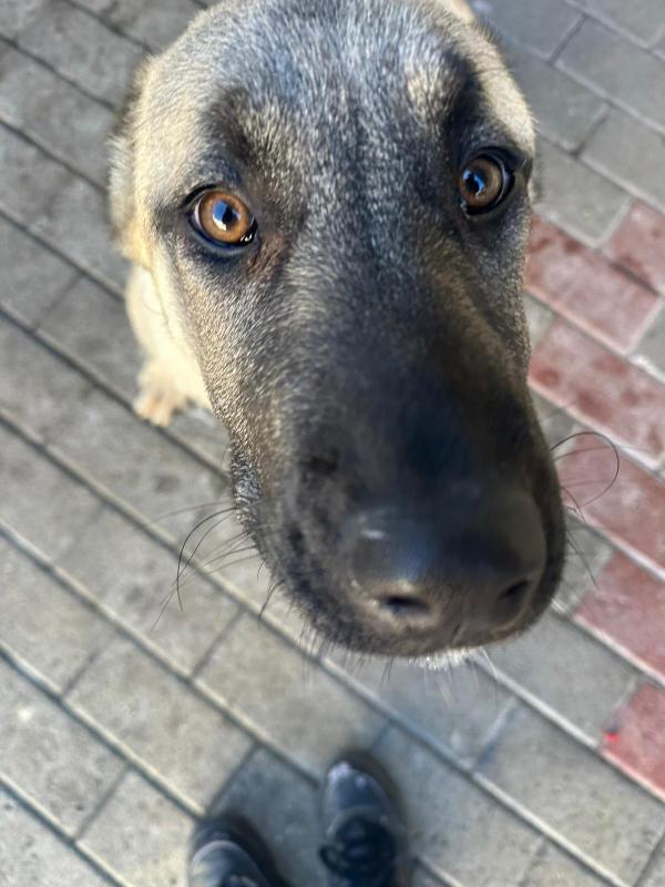 ATHENA E PATRA KANGAL Foto 3